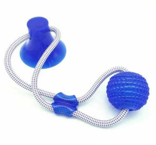 Durable, colourful chew toy with unique sucker design for dogs to play and maintain dental health