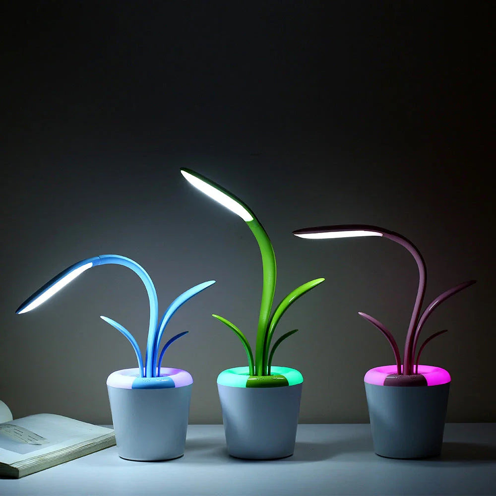 Stylish USB-Powered LED Desk Lamp with Adjustable Brightness, Night Light Mode, and Cordless Design for Home or Office Use