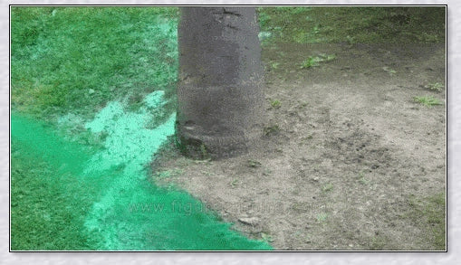 Hydro Mousse Liquid Lawn System - Spray-on formula that attaches grass seed directly to soil for effortless lawn repair