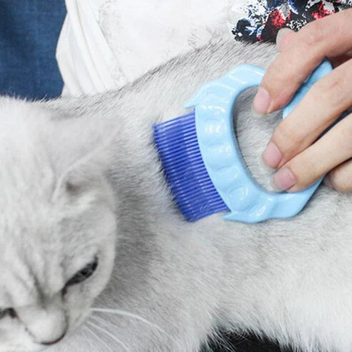 Pet Massage Shell Brush with soft bristles and ergonomic design for gentle, effective grooming