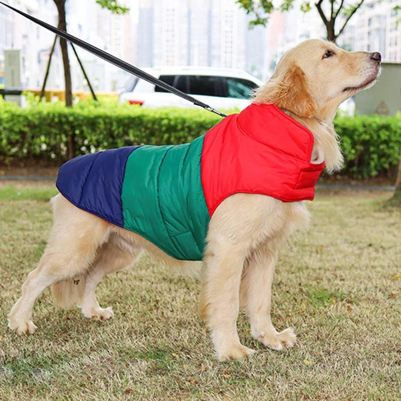 Pet Autumn and Winter Thickened Warmth and Water-repellent Down Jacket in green, grey, and white