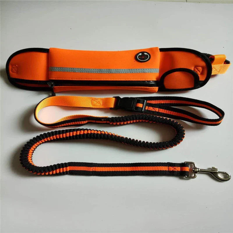 Versatile dog walking bag with waterproof material, reflective traction leash, and adjustable waist design for convenient and safe daily dog walks