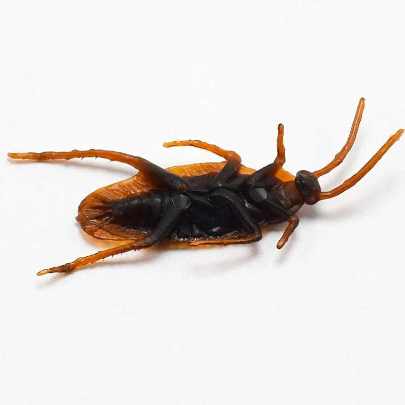 Lifelike cockroach simulation toys in brown colour, perfect for Halloween parties and decorations