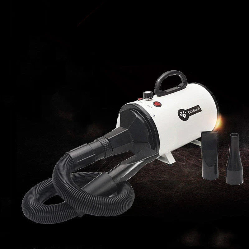 A high-powered, quiet pet hair dryer in various colors, designed for fast and efficient drying of dogs and cats.