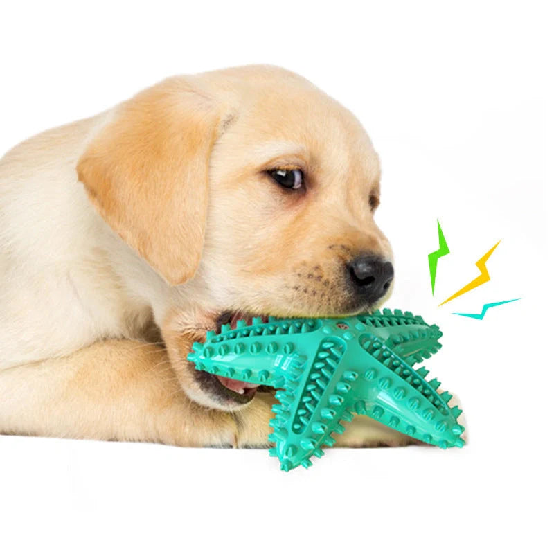 Starfish Vocal Pet Dog Toy Molar Stick in various colors for dental health