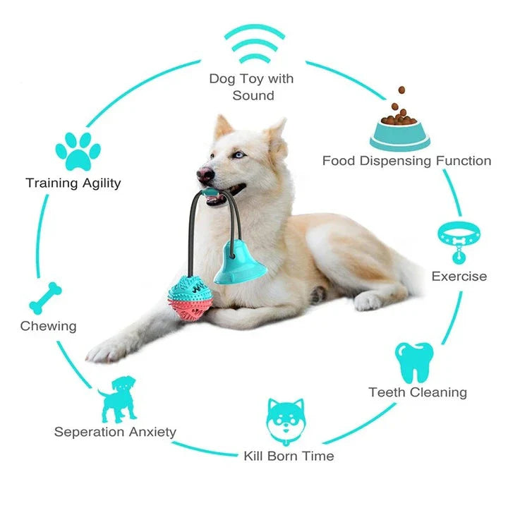 A blue interactive chew ball toy for large dogs with a suction cup, rope, and treat dispenser for dental care and playtime