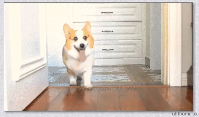 Automatic Ball Launcher for Dogs - A Convenient and Entertaining Pet Toy