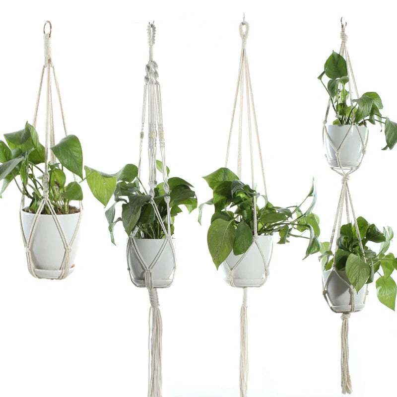 Stylish hanging cotton rope plant holder for indoor and outdoor decoration