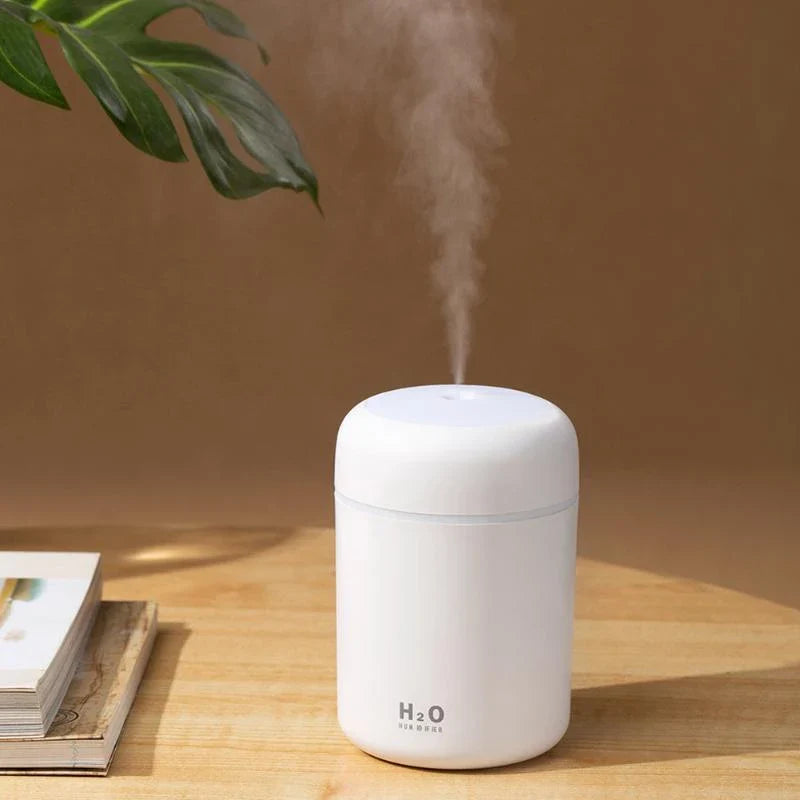 Mini USB Humidifier with Soothing Mist, Quiet Operation, and Automatic Shut-Off for Bedrooms