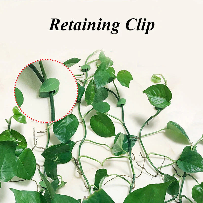 Versatile leaf-shaped plant clips in green, designed to provide discreet and effective support for climbing vines and potted plants