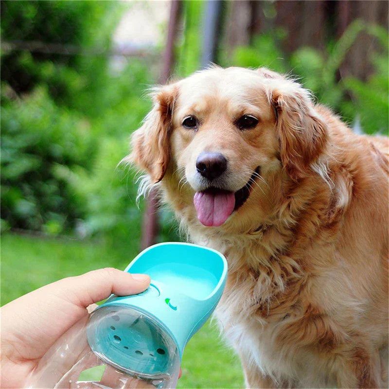 Durable and portable pet water bottle with one-touch button, suitable for outdoor activities with your furry friend