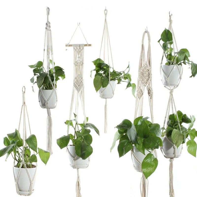 Stylish hanging cotton rope plant holder for indoor and outdoor decoration