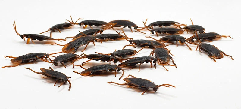 Lifelike cockroach simulation toys in brown colour, perfect for Halloween parties and decorations