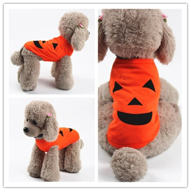 Adorable pumpkin-themed pet costume in various sizes and styles, perfect for Halloween celebrations with your furry friend