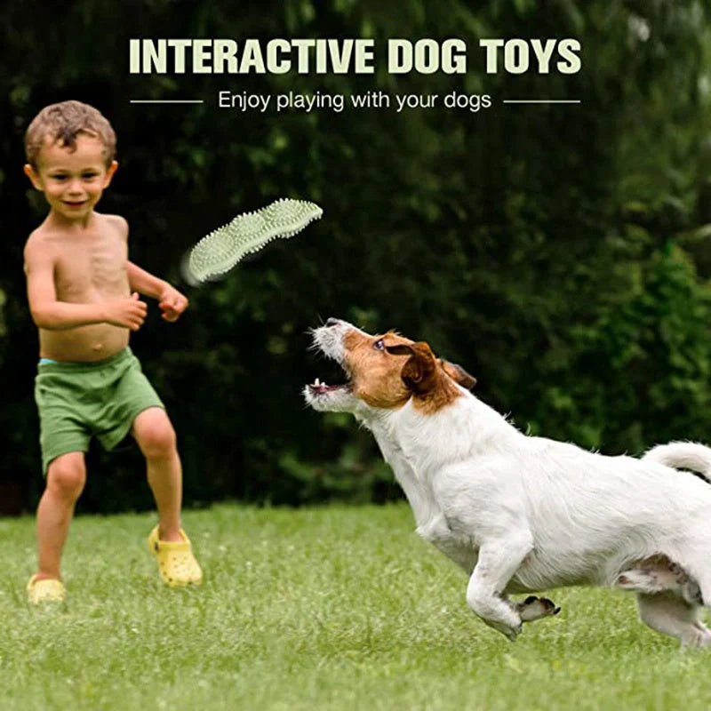 Natural rubber teeth cleaning dog toy for puppies, safe and durable
