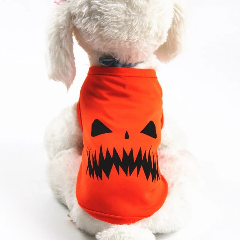 Adorable pumpkin-themed pet costume in various sizes and styles, perfect for Halloween celebrations with your furry friend