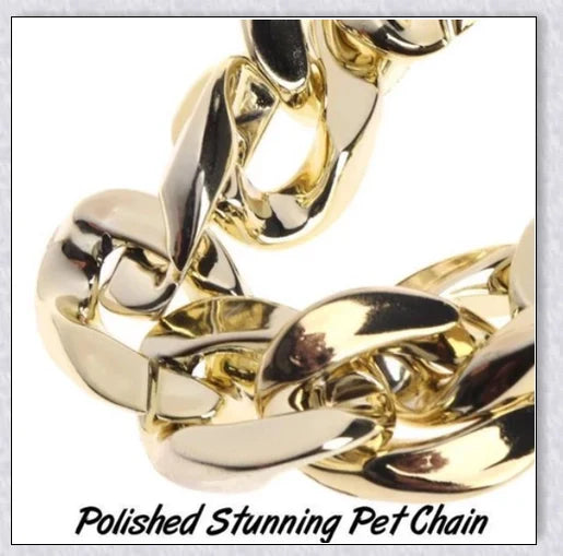 Thick gold chain dog collar with a stylish and durable design, perfect for adding a touch of urban sophistication to your pet's look.