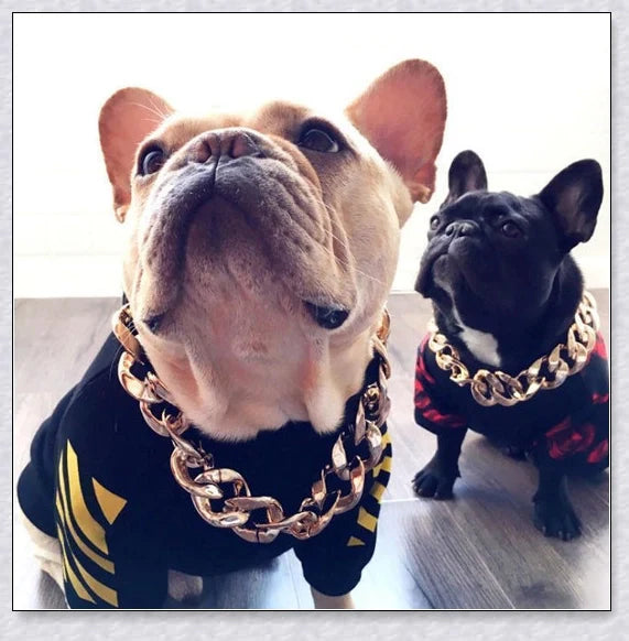 Thick gold chain dog collar with a stylish and durable design, perfect for adding a touch of urban sophistication to your pet's look.