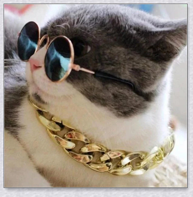 Thick gold chain dog collar with a stylish and durable design, perfect for adding a touch of urban sophistication to your pet's look.