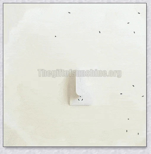 Portable and personal negative ion air purifier for removing dust, smoke, and odours