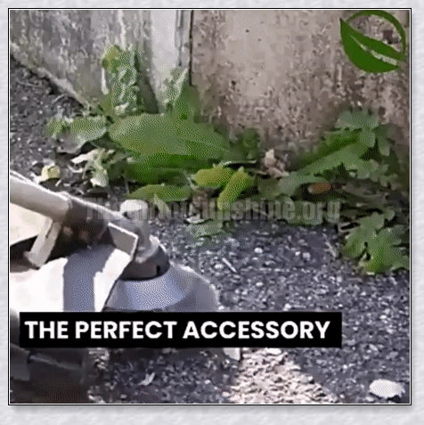 Unbreakable wired trimmer blade made from high-grade steel alloy for cutting through weeds, grass, and branches efficiently