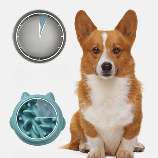 Pet slow feeder bowl in green, pink, or orange with anti-choking design