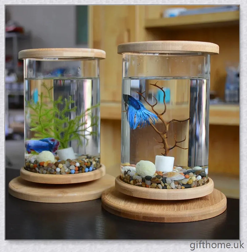 GiftHome UK Glass Betta Fish Tank with Bamboo Base