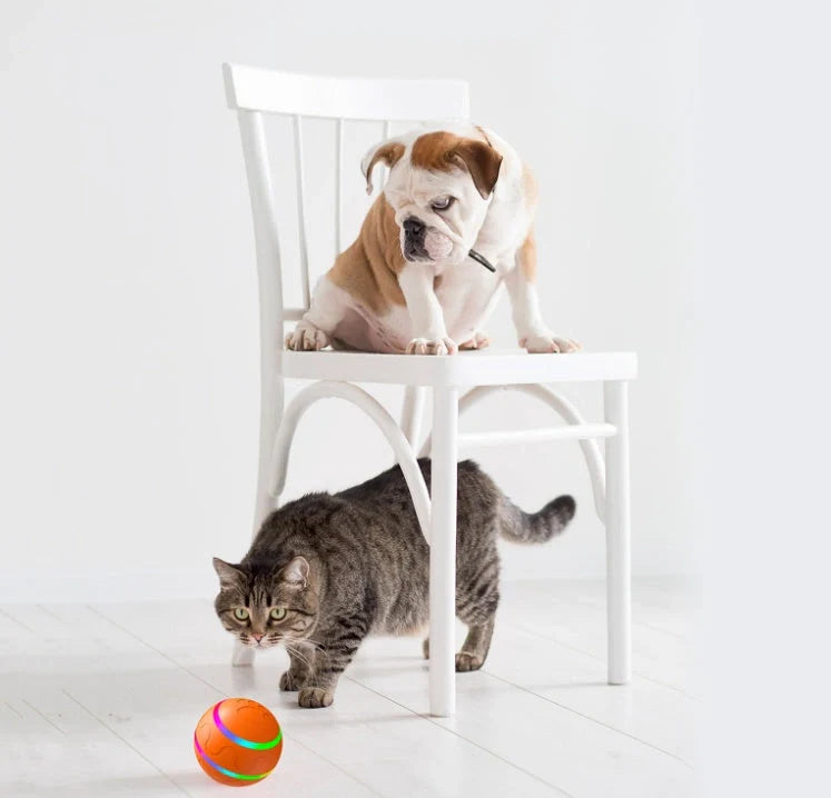 Automatic rotating cat toy in orange, yellow, and pink with USB charging