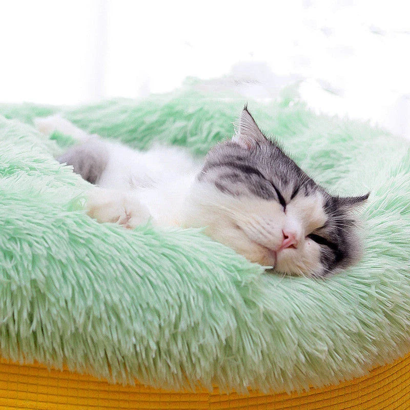 Cozy plush pet bed in pineapple design, providing deep cushioning and non-collapsible support for peaceful pet slumber