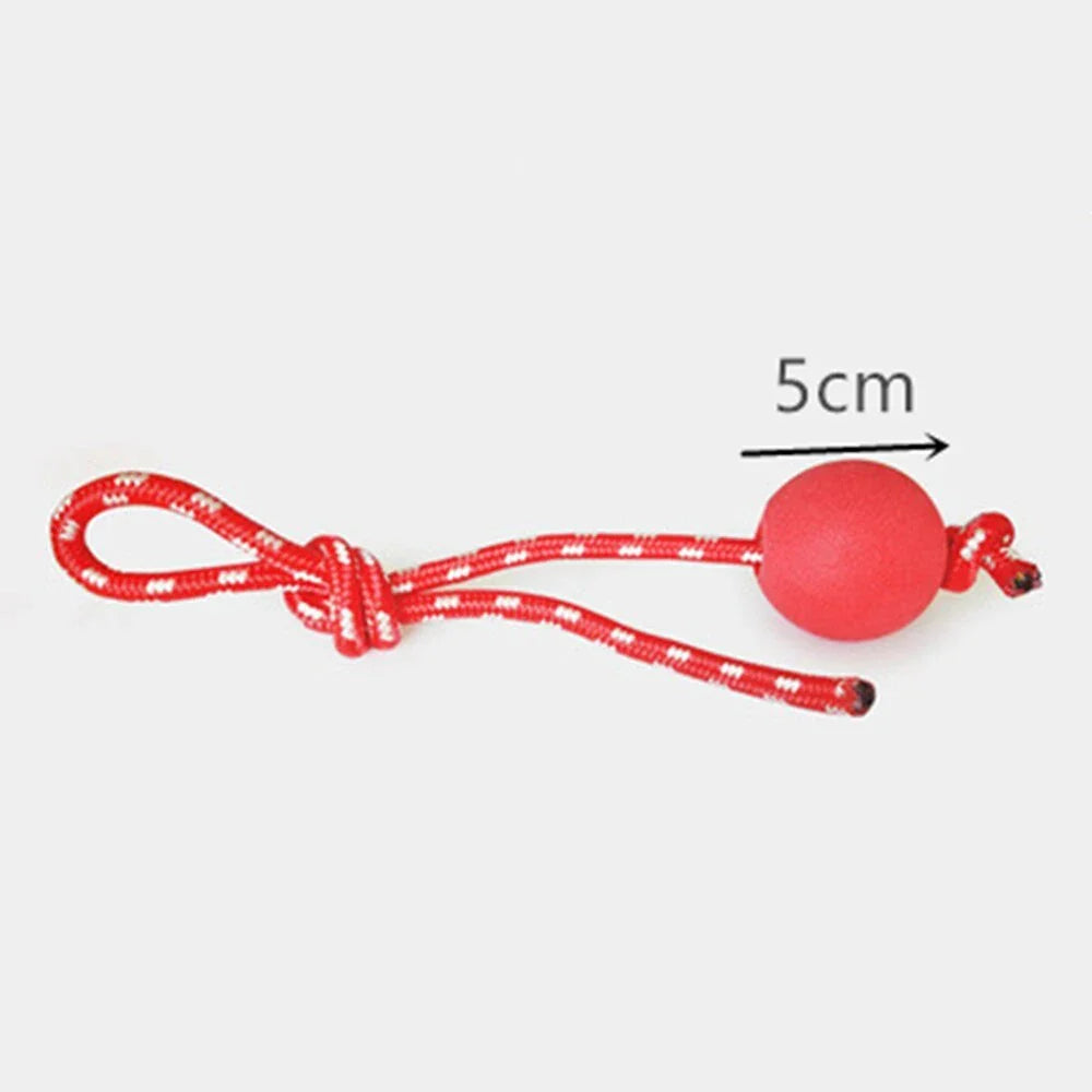 Durable, colourful chew toy with unique sucker design for dogs to play and maintain dental health