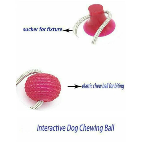 Durable, colourful chew toy with unique sucker design for dogs to play and maintain dental health