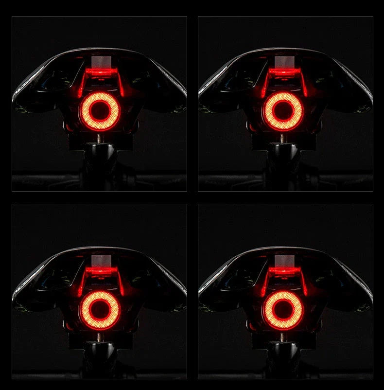 Premium bicycle rear light with intelligent brake sensing, bright LED lights, and durable aluminium alloy construction