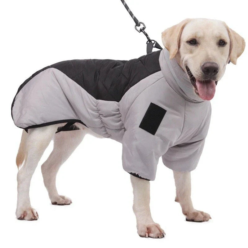 Warm and waterproof dog coat in various colors, designed for medium to large dogs to keep them cozy and protected during the winter.