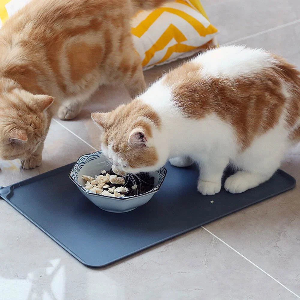 Spill-proof pet food mat made of durable silicone with non-slip base and raised edges to prevent messes