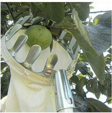 Sturdy, high-reach fruit picking tool with adjustable pole and gentle teeth for effortless, damage-free harvesting