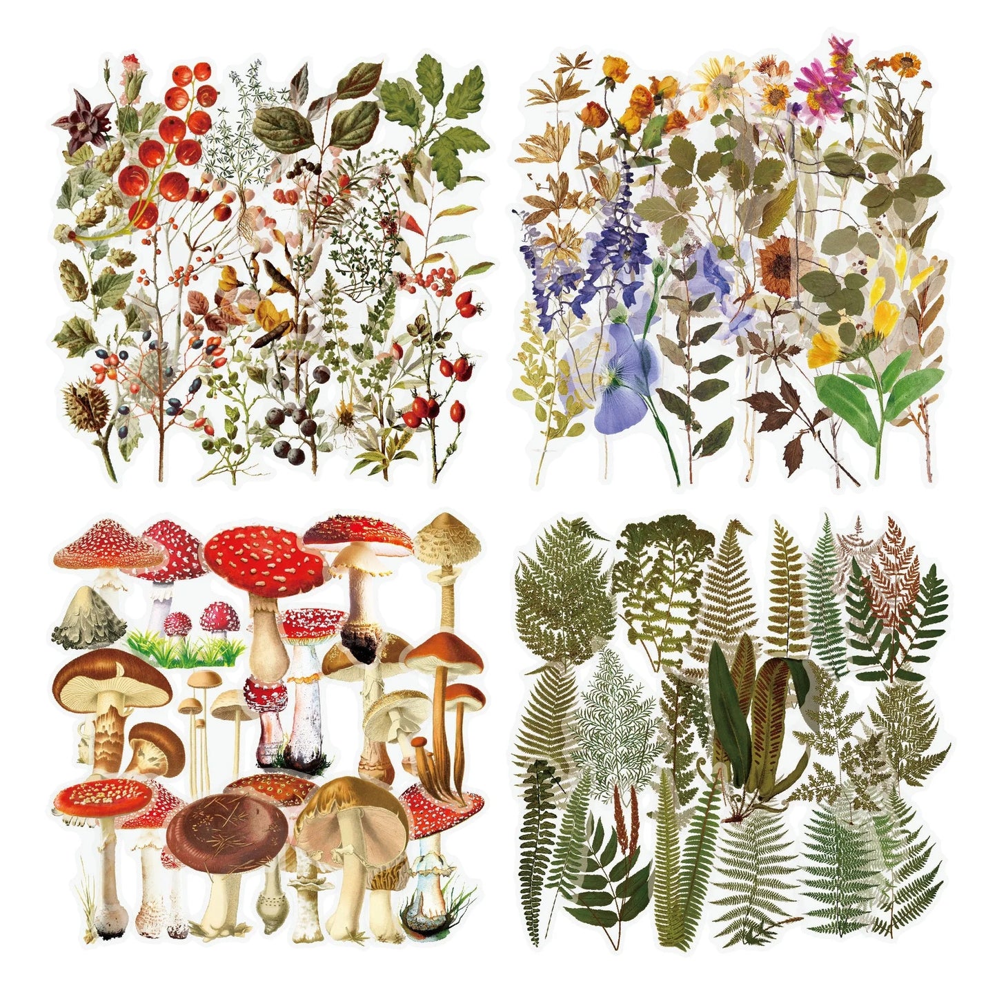 Retro Flower Nature DIY Sticker Pack with transparent flower and mushroom designs