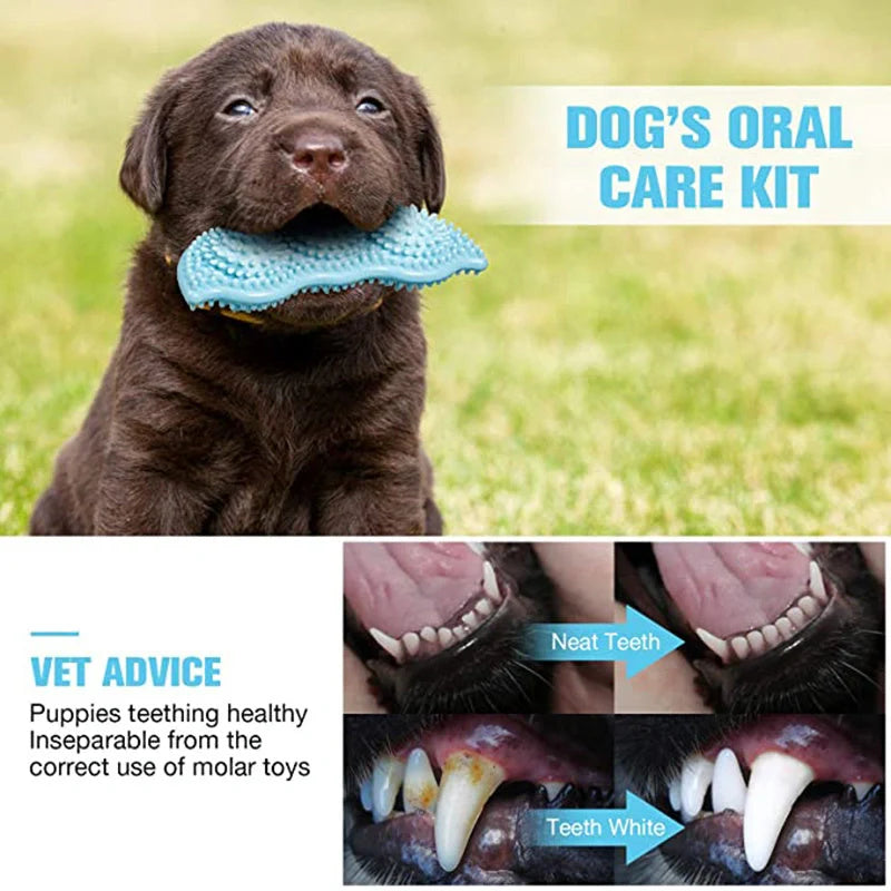 Natural rubber teeth cleaning dog toy for puppies, safe and durable