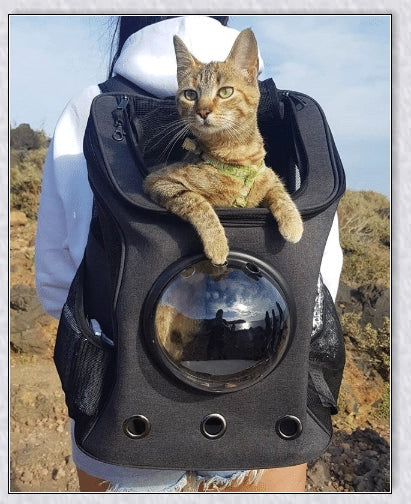 A versatile cat backpack designed to accommodate larger 'big boned' cats, two medium-sized cats, or multiple kittens, with breathable mesh panels and a secure clip and bungee system.