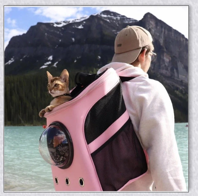 A versatile cat backpack designed to accommodate larger 'big boned' cats, two medium-sized cats, or multiple kittens, with breathable mesh panels and a secure clip and bungee system.