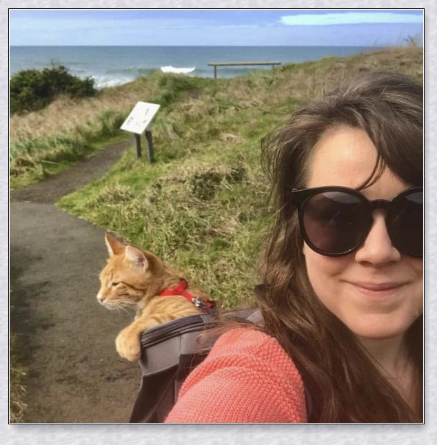A versatile cat backpack designed to accommodate larger 'big boned' cats, two medium-sized cats, or multiple kittens, with breathable mesh panels and a secure clip and bungee system.