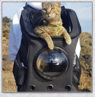 A versatile cat backpack designed to accommodate larger 'big boned' cats, two medium-sized cats, or multiple kittens, with breathable mesh panels and a secure clip and bungee system.