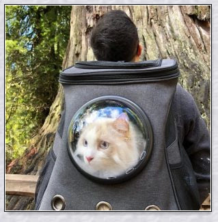 A versatile cat backpack designed to accommodate larger 'big boned' cats, two medium-sized cats, or multiple kittens, with breathable mesh panels and a secure clip and bungee system.