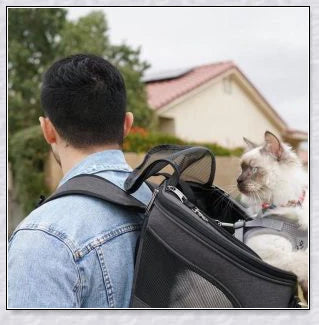 A versatile cat backpack designed to accommodate larger 'big boned' cats, two medium-sized cats, or multiple kittens, with breathable mesh panels and a secure clip and bungee system.