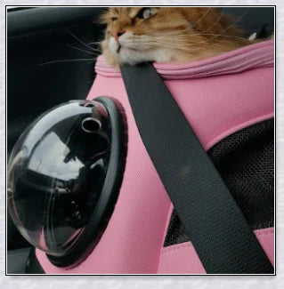 A versatile cat backpack designed to accommodate larger 'big boned' cats, two medium-sized cats, or multiple kittens, with breathable mesh panels and a secure clip and bungee system.