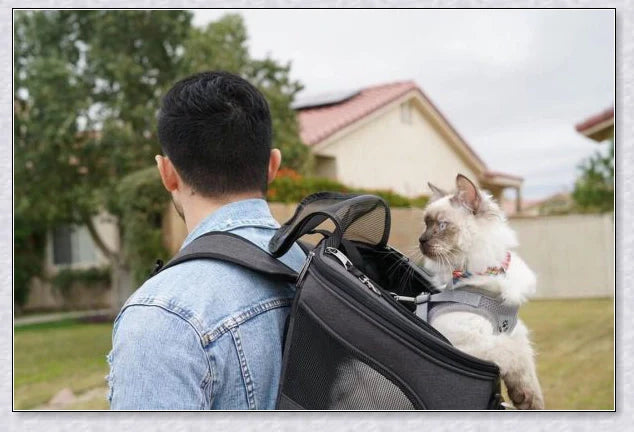 A versatile cat backpack designed to accommodate larger 'big boned' cats, two medium-sized cats, or multiple kittens, with breathable mesh panels and a secure clip and bungee system.