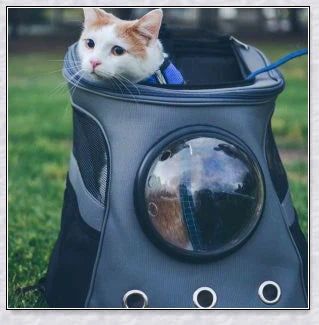 A versatile cat backpack designed to accommodate larger 'big boned' cats, two medium-sized cats, or multiple kittens, with breathable mesh panels and a secure clip and bungee system.