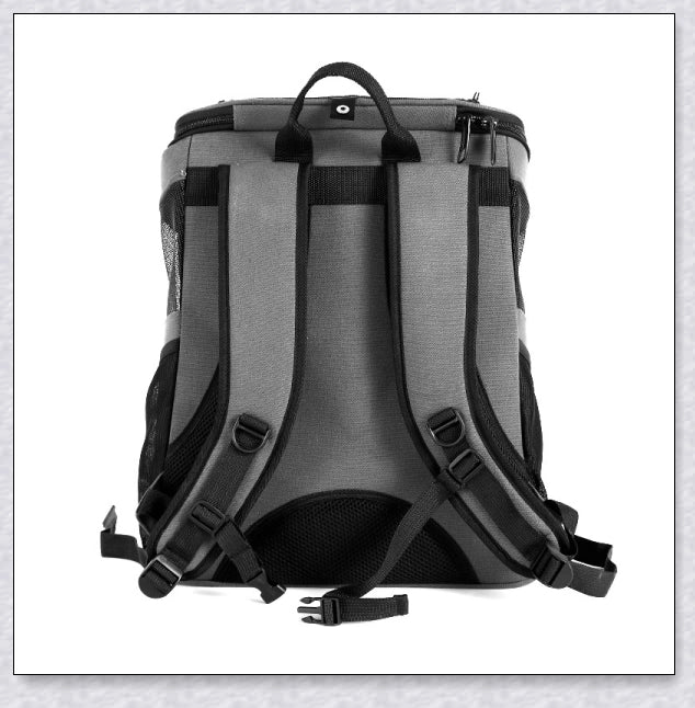 A versatile cat backpack designed to accommodate larger 'big boned' cats, two medium-sized cats, or multiple kittens, with breathable mesh panels and a secure clip and bungee system.