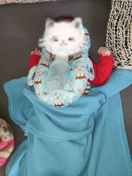 Nursing Cushion - Baby Feeding Pillow: Supportive, comfortable, and hands-free for modern mums