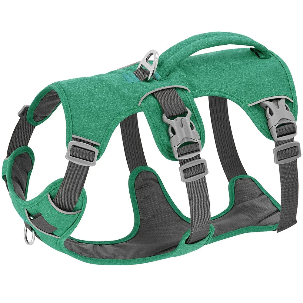 Reflective Nylon Dog Harness with Handle - Durable, Adjustable, and Designed for Visibility and Control