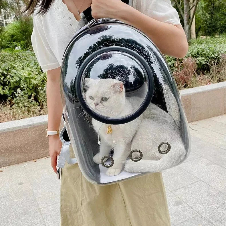 Luxury Cat Space Capsule Backpack in yellow, a transparent pet carrier for stylish outings and travel